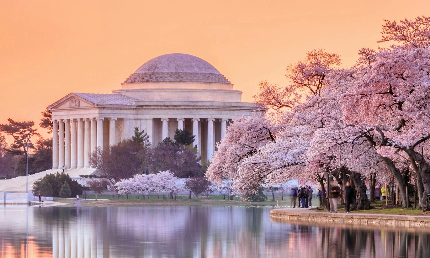 Things to do in Washington DC : Museums and attractions | musement